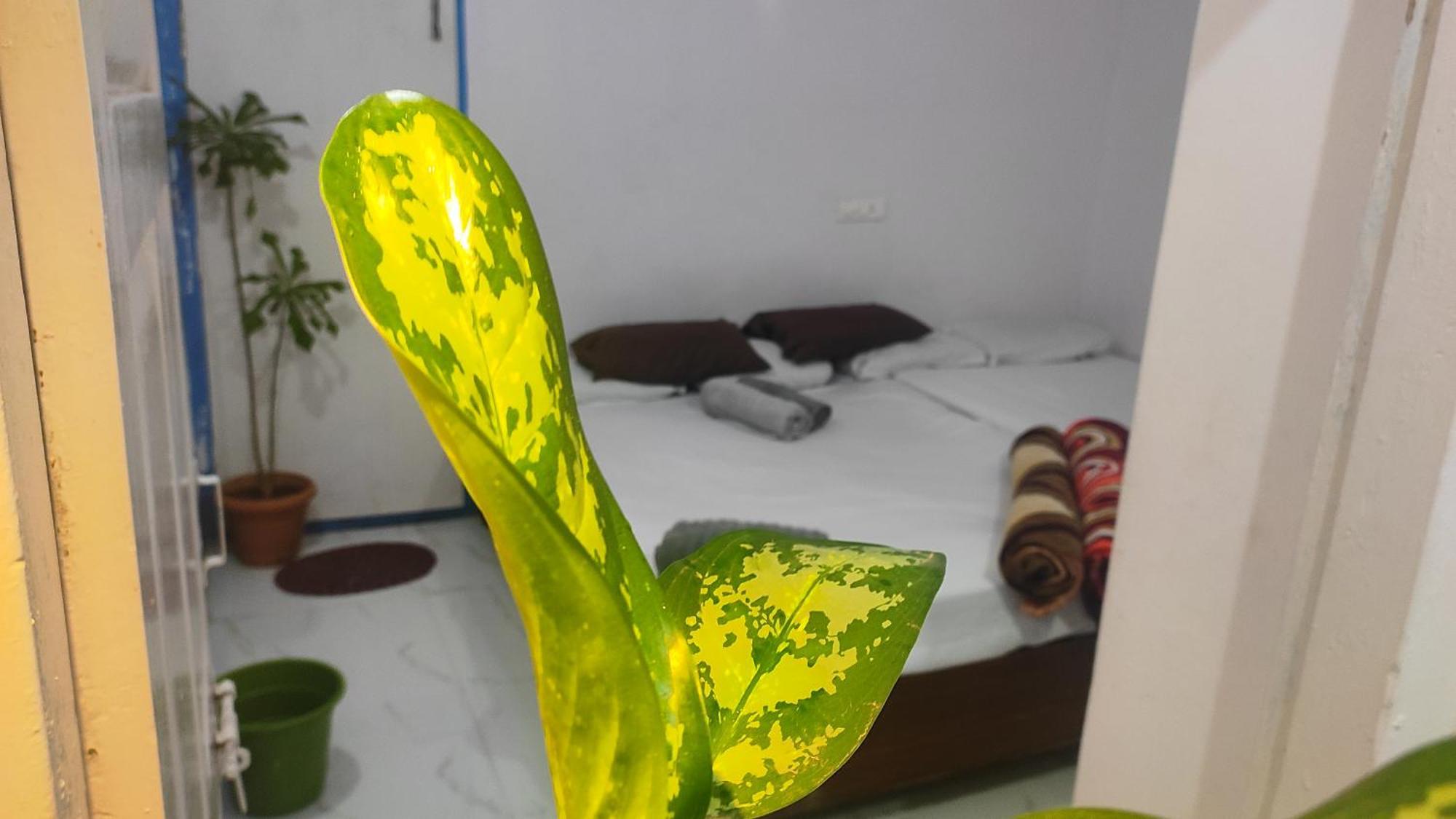 ホテル Adh Amilia Gardens Narasimharaja Puram エクステリア 写真